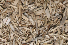 biomass boilers Legsby
